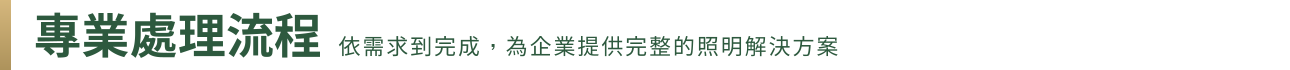 專業處理流程